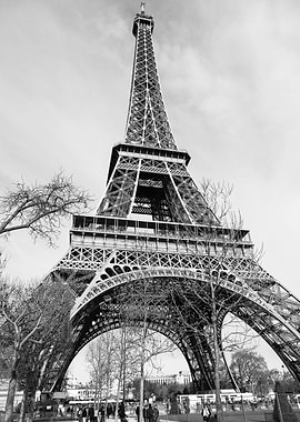 Eiffel Tower During Winter