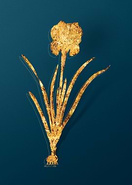 Gold Vintage Illustration