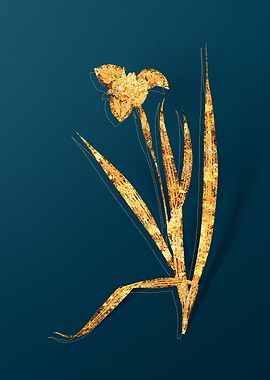 Vintage Floral Drawing