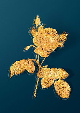 Vintage Flower Drawing