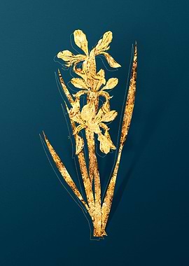 Vintage Botanical Drawing