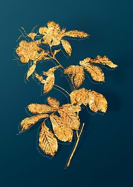 Gold Vintage Drawing Teal