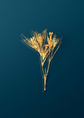 Vintage Botanical Drawing