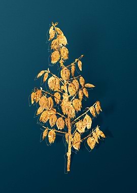 Gold Botanical on Teal