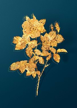 Vintage Flower Drawing