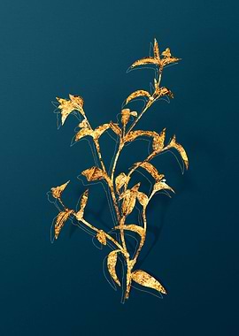 Gold Vintage Flowers Teal