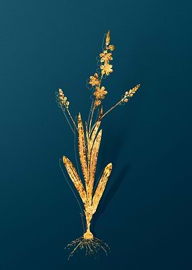 Gold Floral Illustration