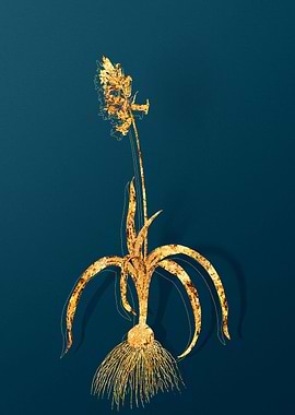 Gold Vintage Flowers Teal