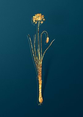 Gold Botanicals on Teal