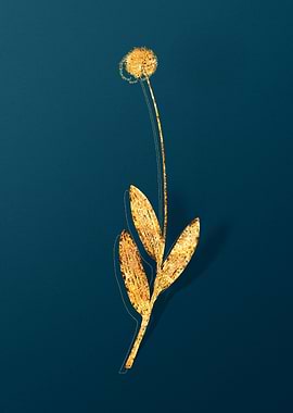 Vintage Flower Drawing