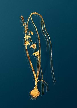 Gold Botanical on Teal