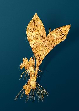 Gold Floral Illustration