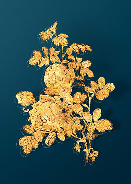 Antique Flower Drawing