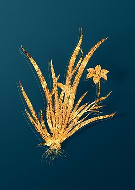 Gold Antique Botanicals