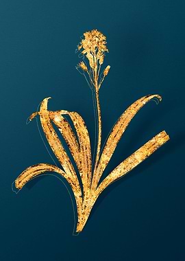 Vintage Plant Illustration