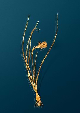 Gold Vintage Floral Teal