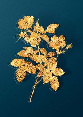Gold Flower Illustration