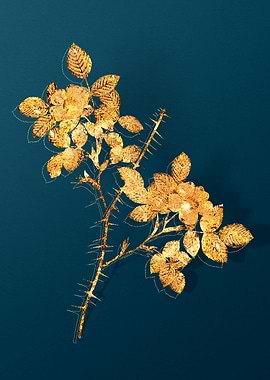 Vintage Plant Illustration