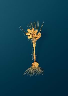 Gold Vintage Floral Teal