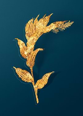 Vintage Botanical Drawing