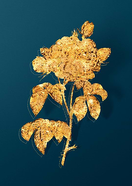 Antique Flower Drawing