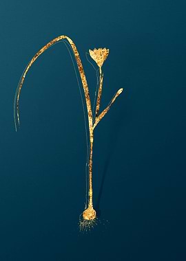 Gold Flower on Teal Blue