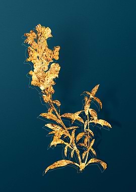 Gold Floral Illustration