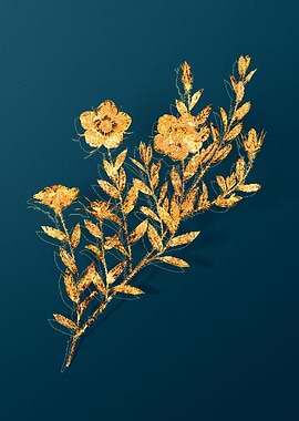 Antique Flower Drawing