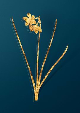 Gold Vintage Illustration