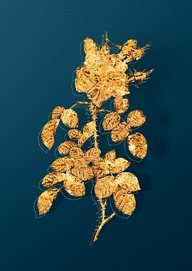 Gold Antique Botanicals