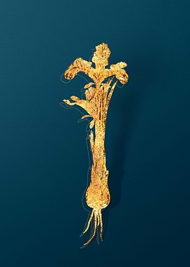 Vintage Botanical Drawing