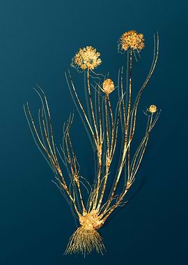 Gold Botanical on Teal