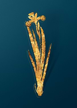 Gold Antique Flowers Teal