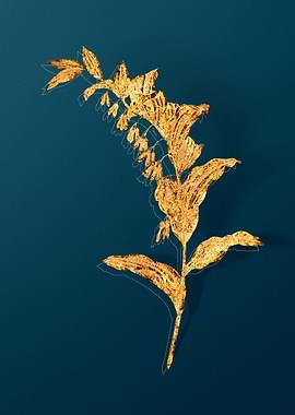 Vintage Plant Illustration