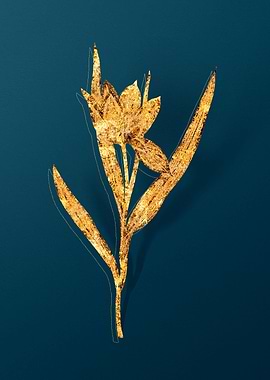 Vintage Botanical Drawing