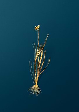 Gold Vintage Illustration