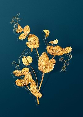 Vintage Botanical Drawing