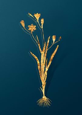 Vintage Botanical Drawing