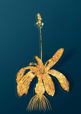 Gold Flower Illustration