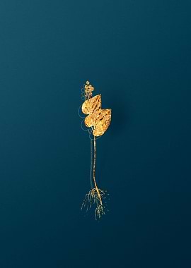 Gold Vintage Illustration