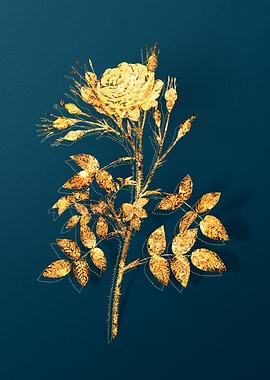 Vintage Botanical Drawing