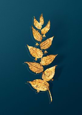 Vintage Flower Drawing