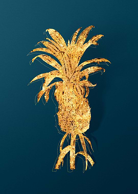 Vintage Pineapple Drawing