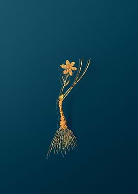 Vintage Plant Illustration