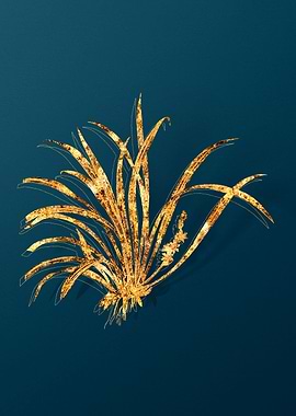 Gold Floral Illustration