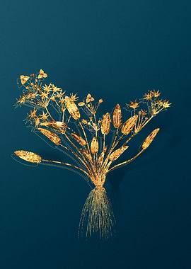 Vintage Flower Drawing