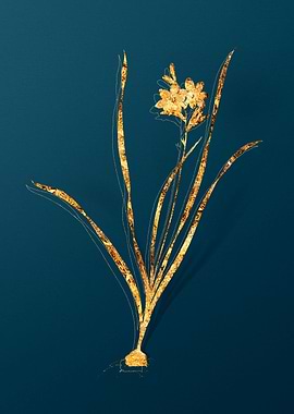 Gold Antique Flowers Teal