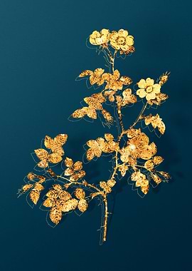 Vintage Botanical Drawing