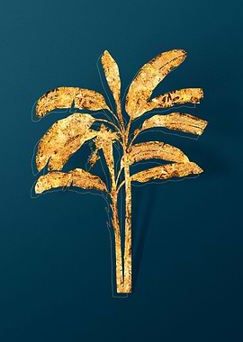 Gold Botanicals on Teal