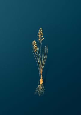 Gold Botanicals on Teal